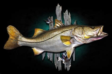 who specializes in fish replica mounts in st.louis area